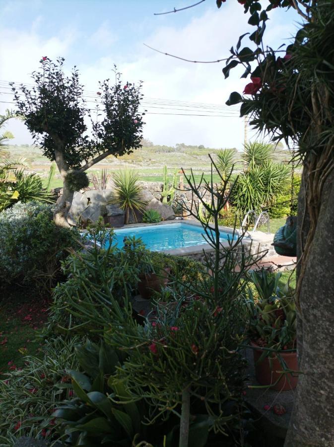 Cinco Ribeiras Casa Do Platanoゲストハウス エクステリア 写真