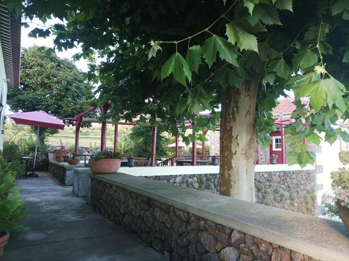 Cinco Ribeiras Casa Do Platanoゲストハウス エクステリア 写真